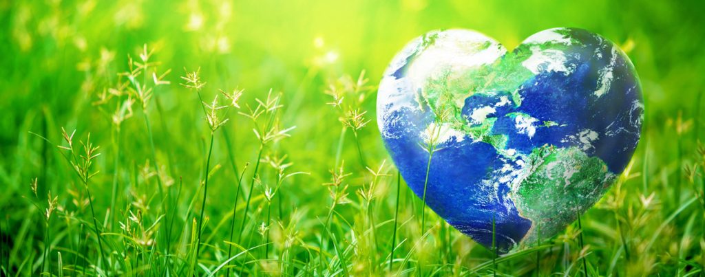Eco Friendly Sm